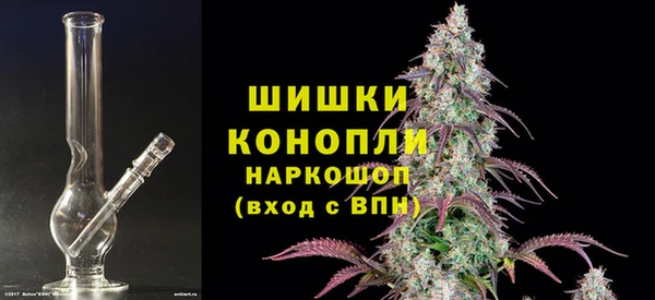 spice Бородино