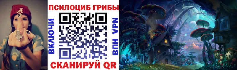Псилоцибиновые грибы мицелий  дарнет шоп  Борисоглебск 